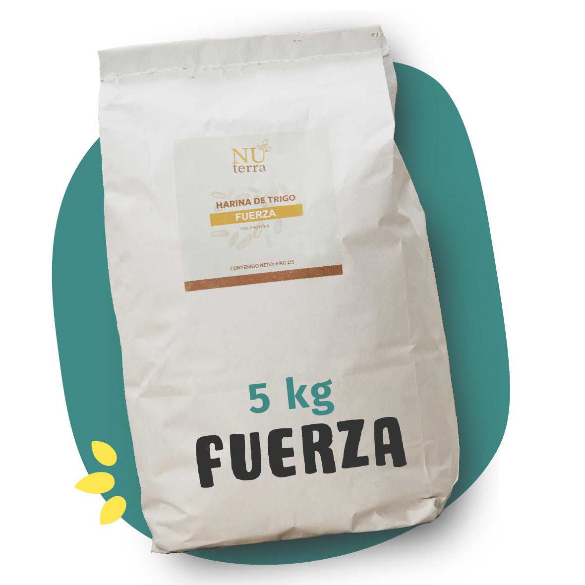 Harina Fuerza 5kg