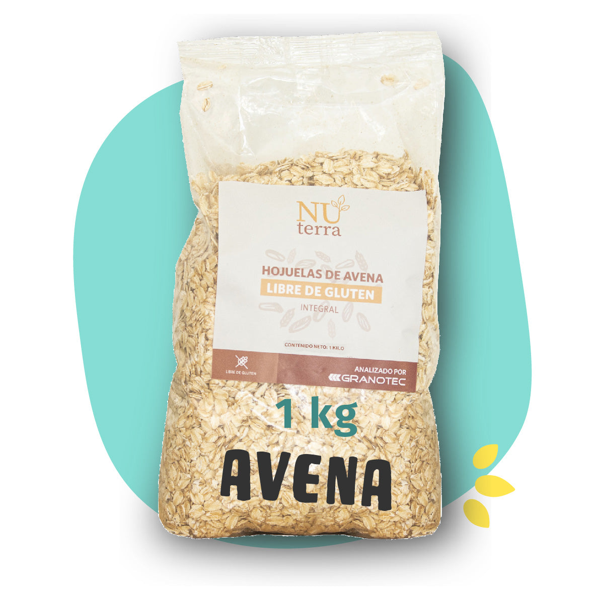 Avena instantánea Libre de Gluten 1 kilo